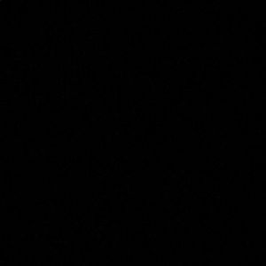 Meet your Posher, Payton